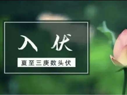 健康科普|關于“三伏天”養(yǎng)生 你想了解的都在這里